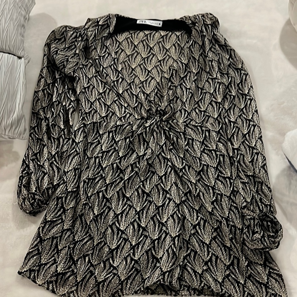 Zara dress